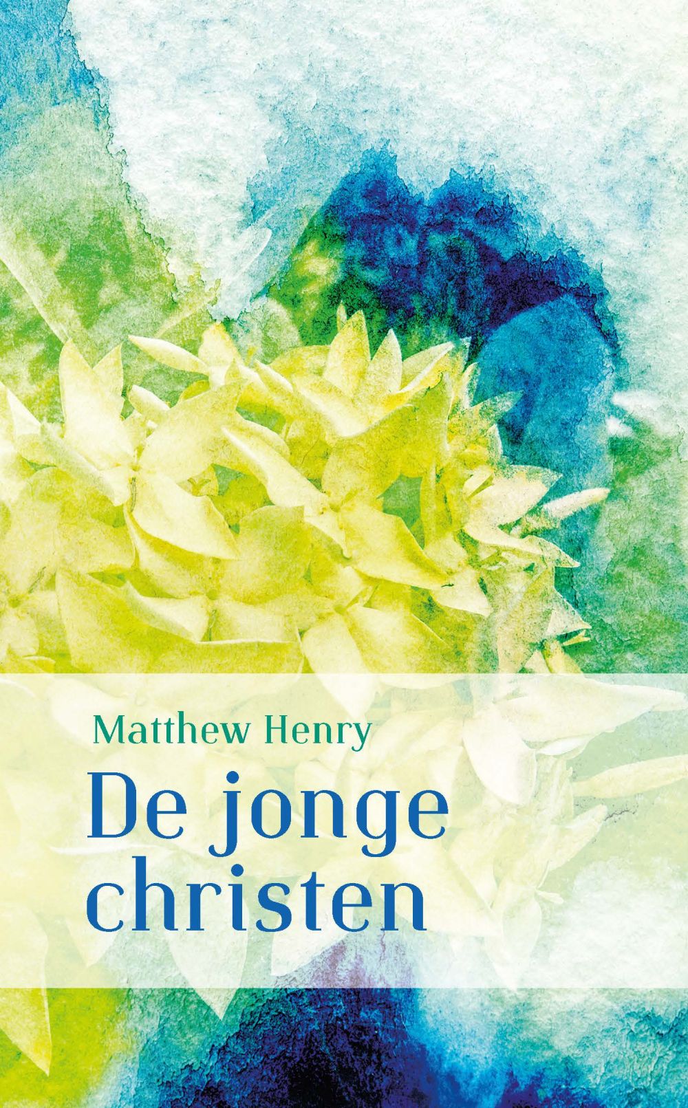 De jonge christen